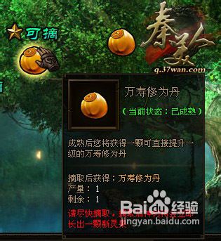 秦美人神树系统玩法介绍