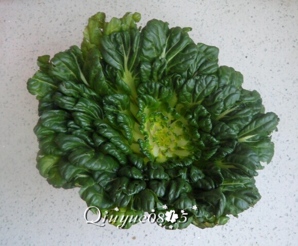 蒜香蚝油菊花菜