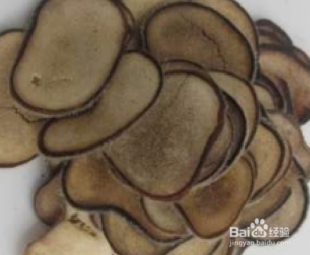 鹿耳最常见的食用方法