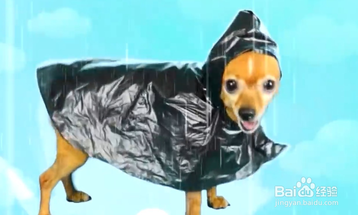 小狗的衣服怎么做步骤视频