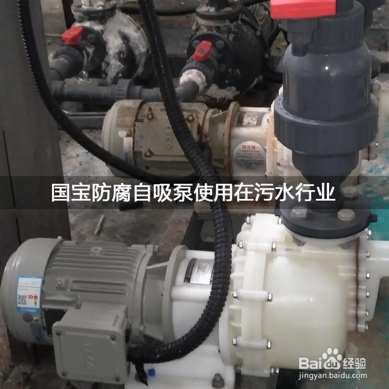 防腐自吸泵可以应用在哪些工艺