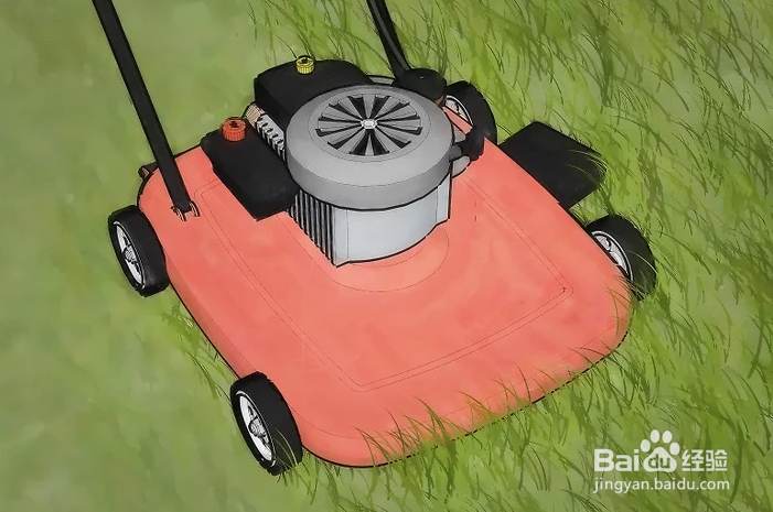 如何驱赶并杀死蚊虫以避免蚊子繁殖