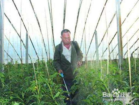 磷酸二氢钾的使用方法