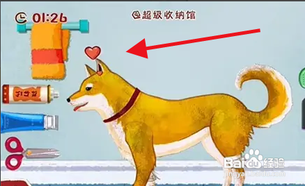 拯救小柴怎么过关