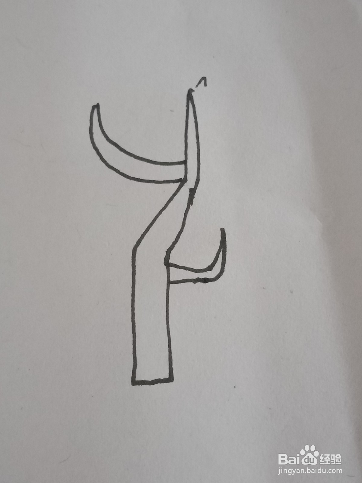 幼儿园简笔画树木