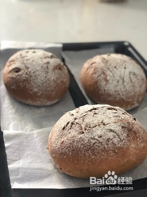 核桃蔓越莓全麦欧包的做法