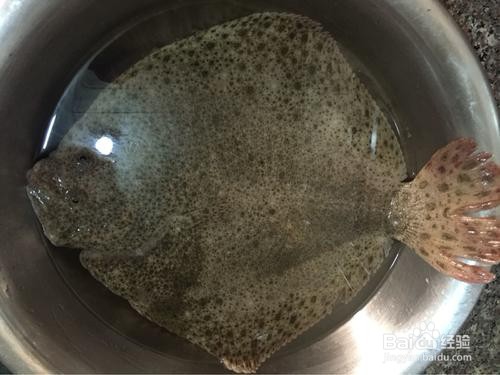 美味清蒸多宝鱼