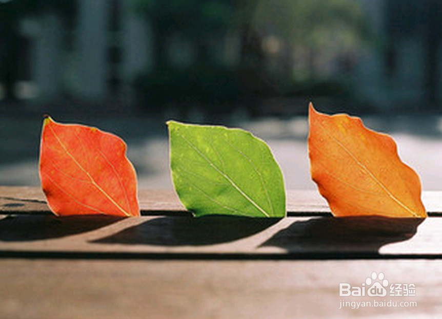 富不过三代,穷不过三代,你肿么看