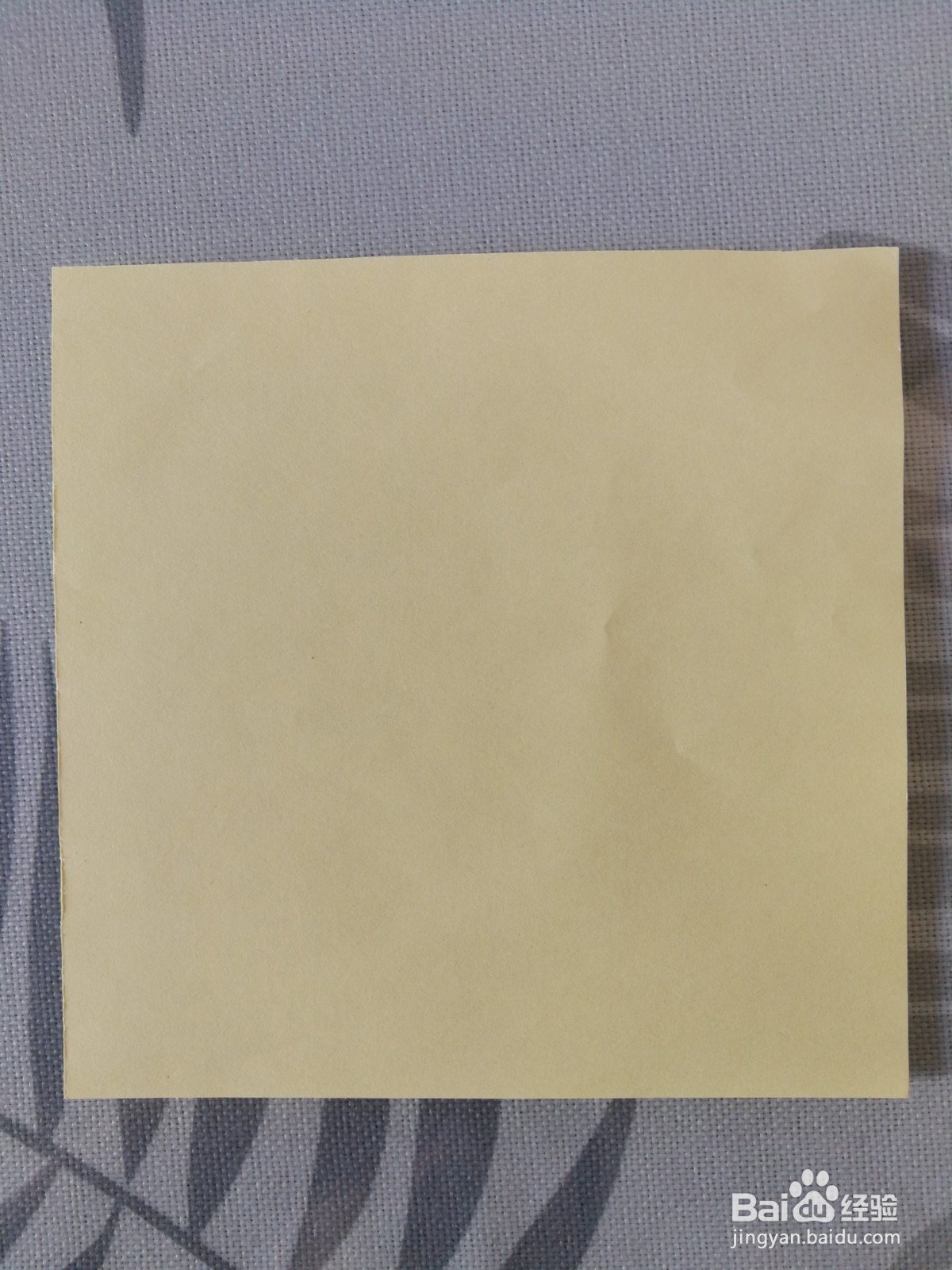 漂亮的彩纸拉花