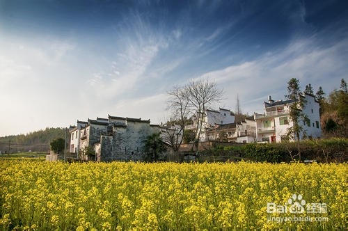 北京到婺源旅游攻略