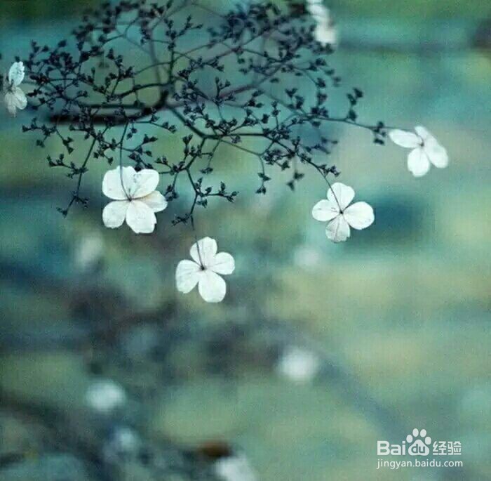 怎样才能调理好肠胃 吃什么养胃