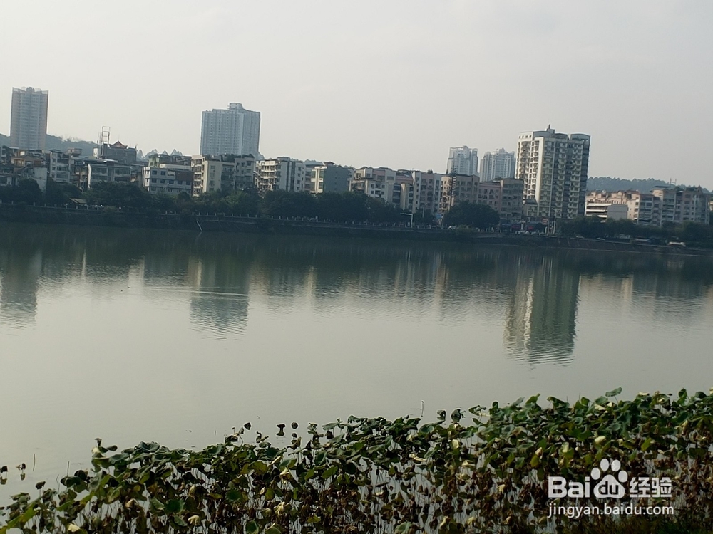 怎么在自己城市周边旅游？