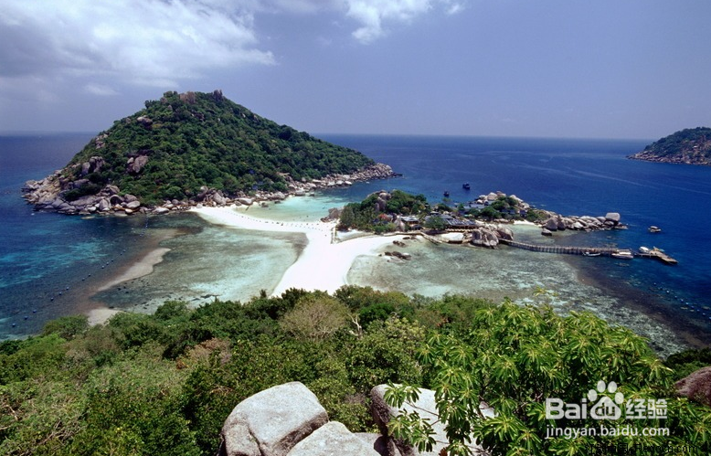 除夕夜惠州大亚湾熊猫金海岸拓展基地游玩攻略