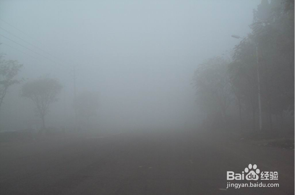 山区夜间开车遇到大雾怎么办？