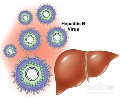 乙肝有哪些传播途径呢？