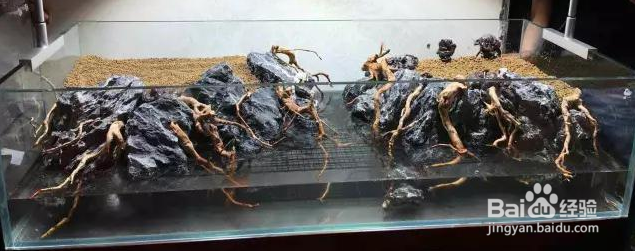 1.2米鱼缸造景教程