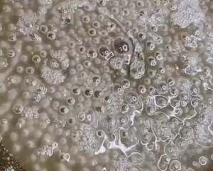 水油拔丝红薯