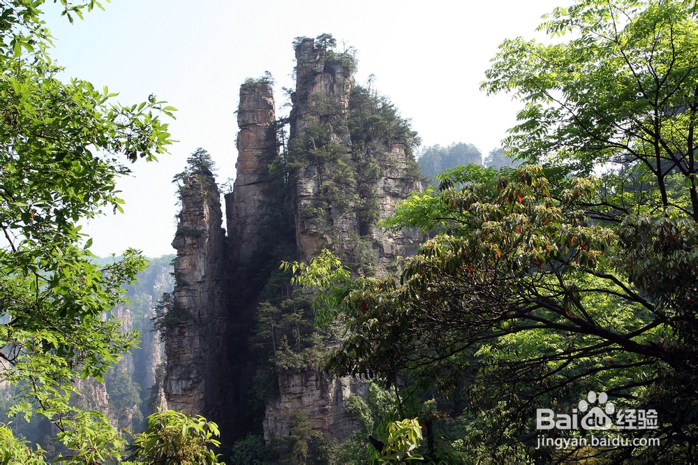 合肥到张家界旅游