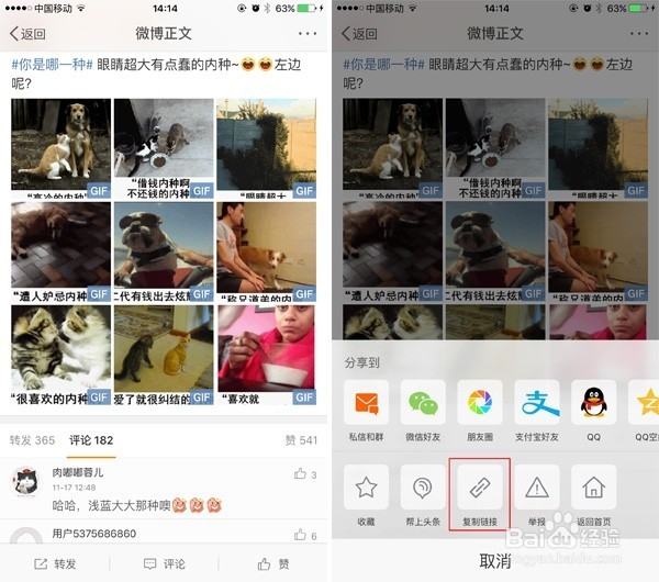 如何在iPhone上保存/发送动态表情？