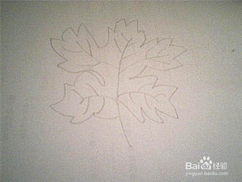 简笔画形状特殊的叶子这样画