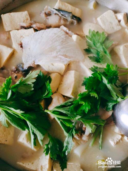 鱼头炖豆腐的做法