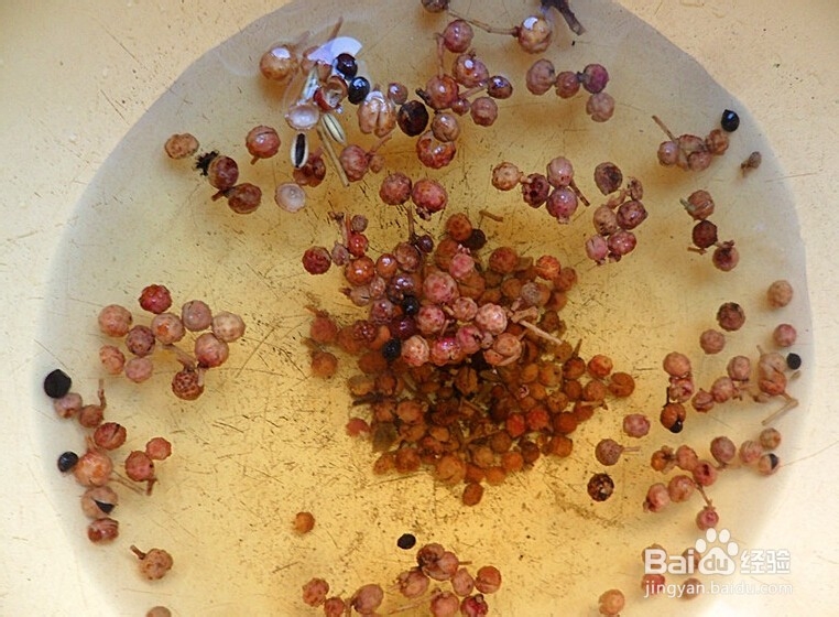 怎样才能止泻杀虫?