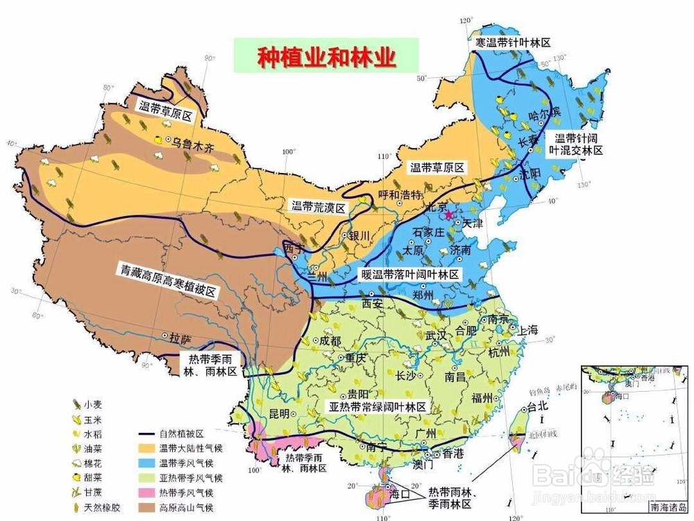 如何因地制宜发展农业