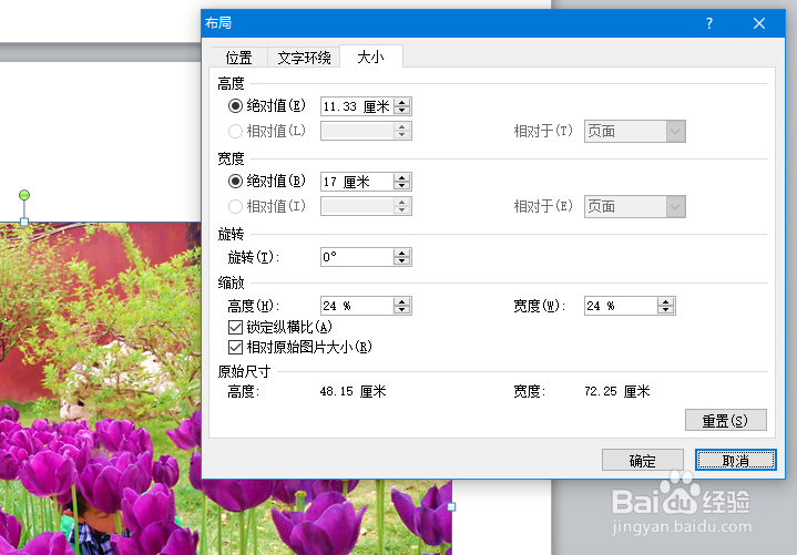 如何在word中旋转和反转图片