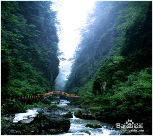 必看！金佛山国庆出游指南