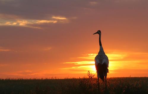 哈尔滨中秋旅游指南