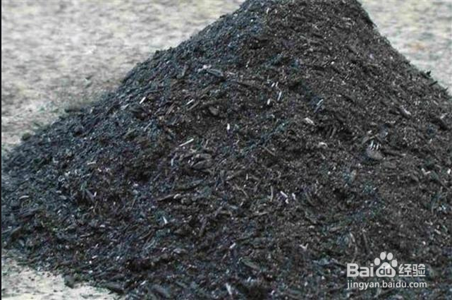 如何在阳台养百合