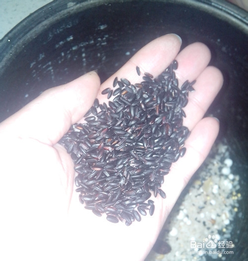 最简单的懒人八宝粥做法