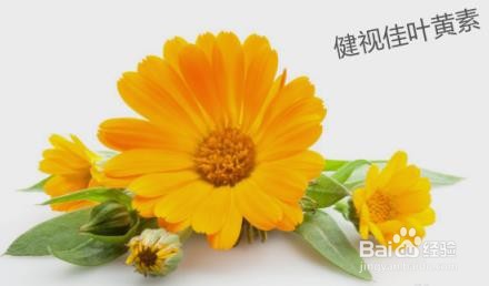 老年人日常如何保护眼睛？