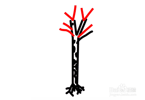 绘制树枝只需从分支中画出几个大的 v即可