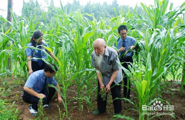 男人的长寿秘诀是什么？(二）