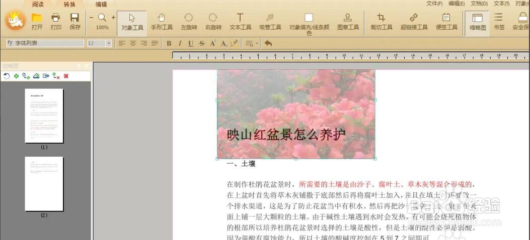 如何修改PDF中图片的大小尺寸