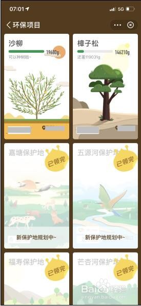 支付宝蚂蚁森林中怎么种树