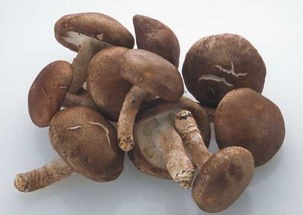 简单方便香菇油菜