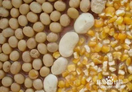 生活中那些食物类不适宜在晚上吃,你知道吗?