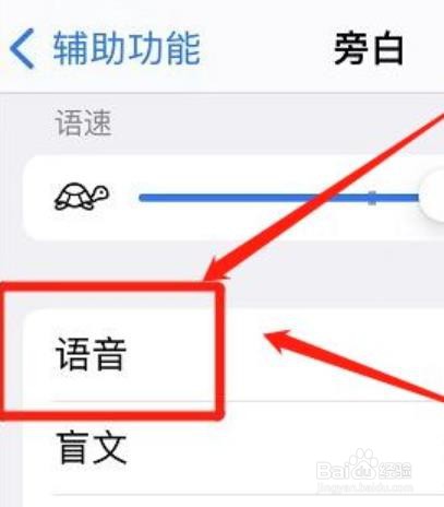 iphone语言检测功能怎么开启？