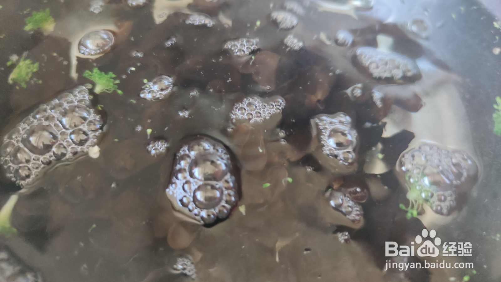 凉拌香菜蒜蓉木耳