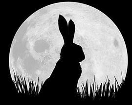 怎么判断兔子吃饱了