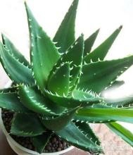 家具上的甲醛如何去掉