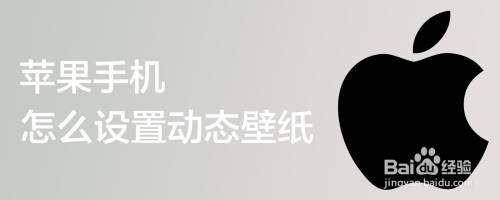 苹果手机怎么设置动态壁纸