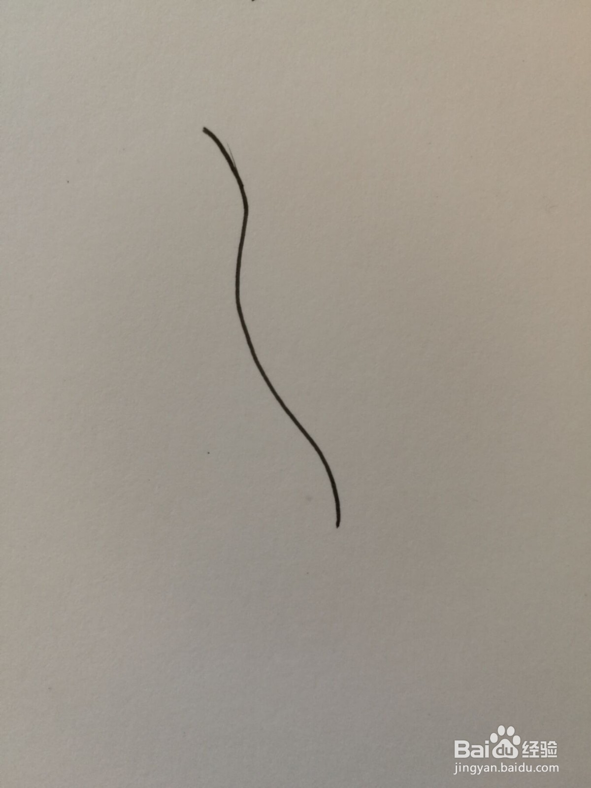 小草简笔画之画法九