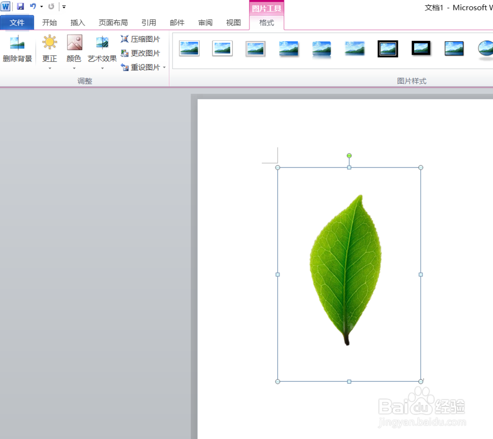 world文档改变图片背景office技巧