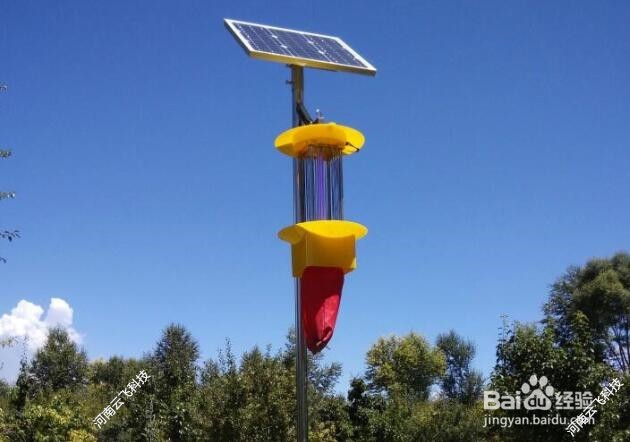 生态果园利用太阳能杀虫灯开展绿色防控
