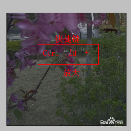 PS怎样改变图像显示大小的3种方法