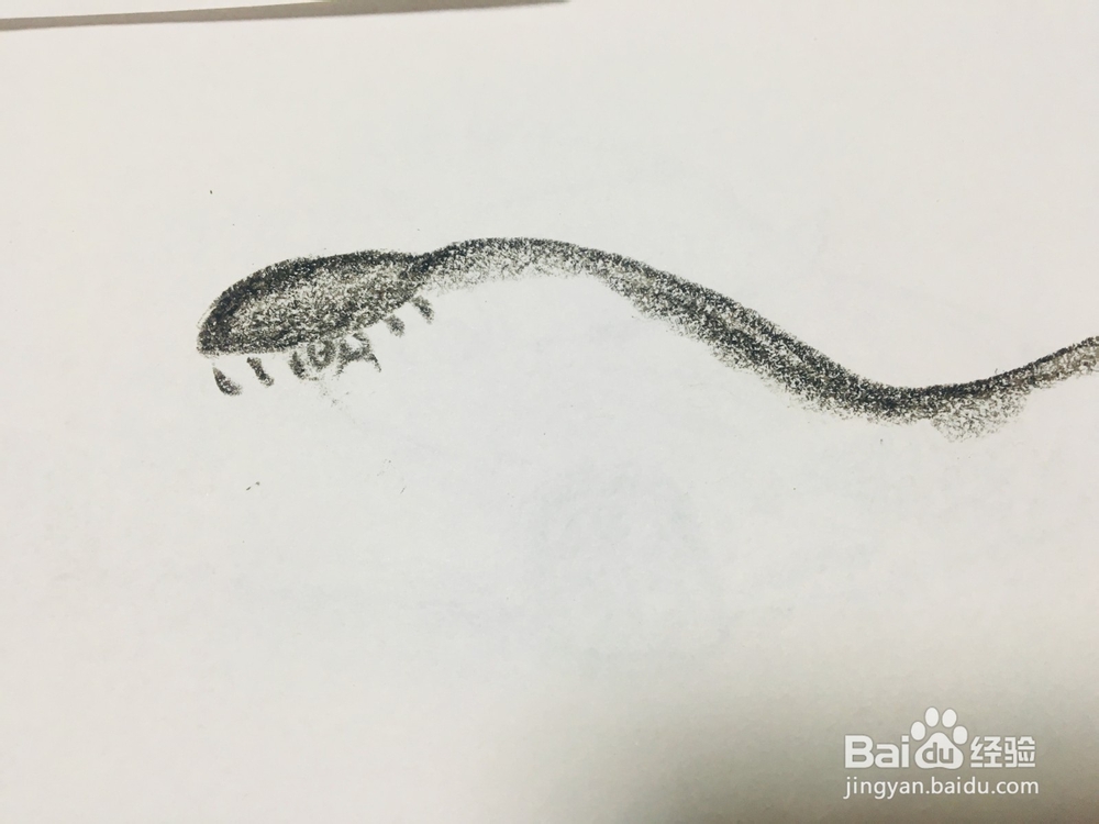 黑曼巴蛇怎么画