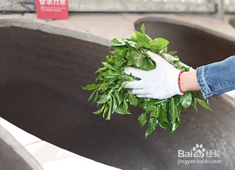 宫明茶叶的制作工序